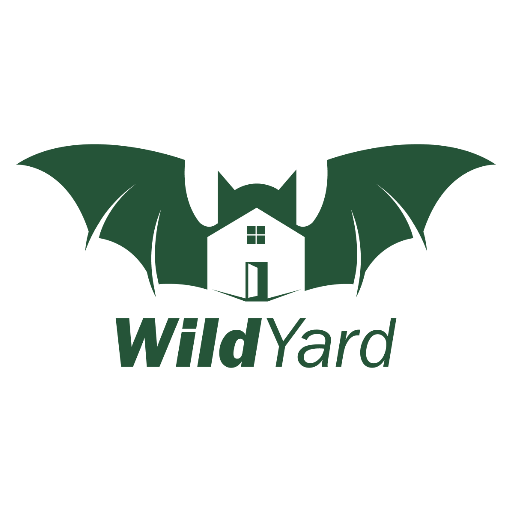 Big Bat Box Coupons and Promo Code