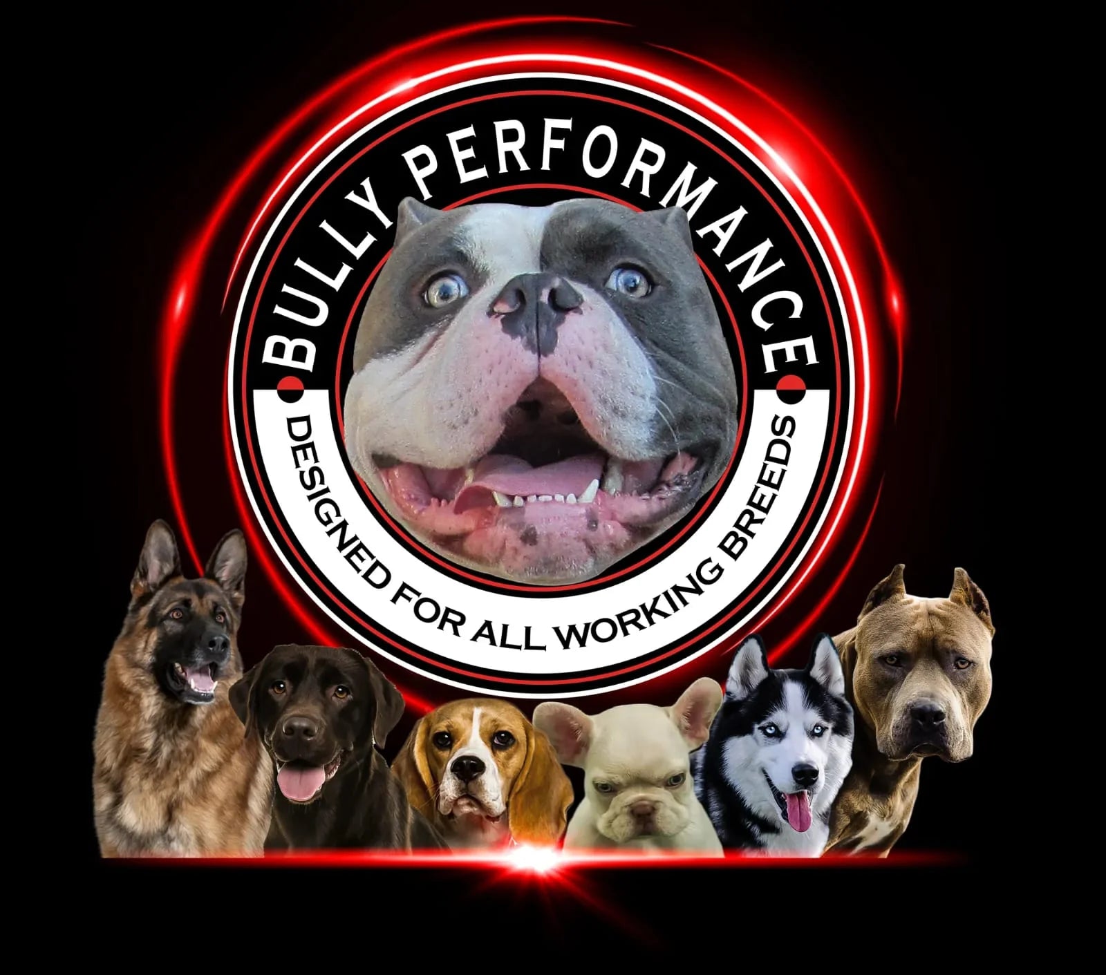 Bully Performance Coupons and Promo Code