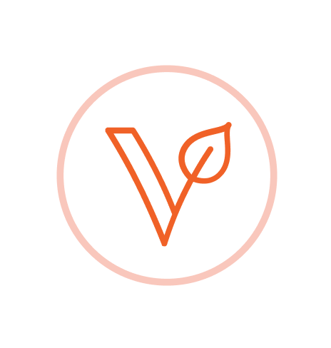Rayvi Shop Coupons and Promo Code